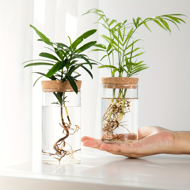 Propagation Station Vase - 수경재배 식물 데스크탑 유리 화분 꽃병,
