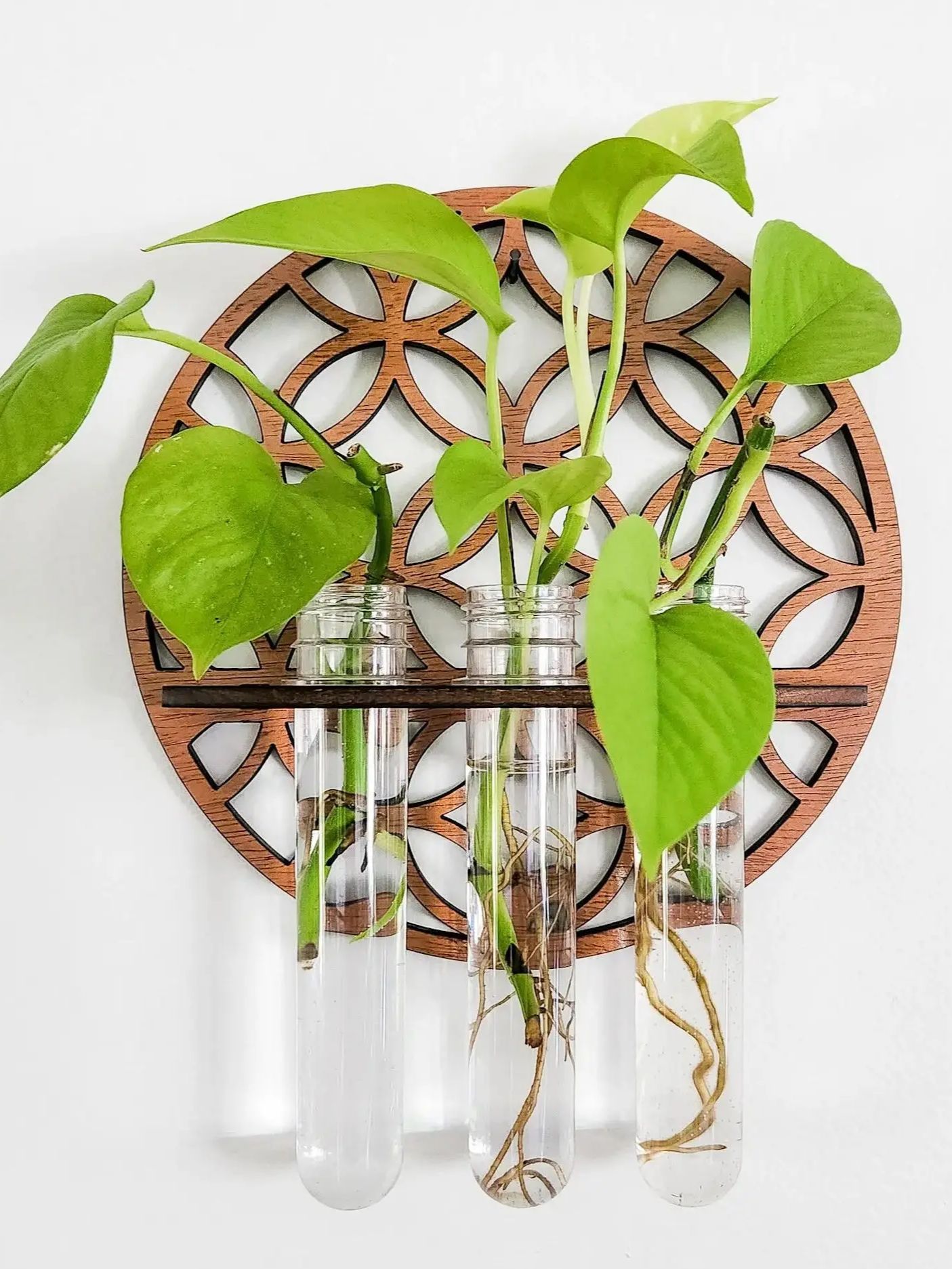 Propagation Station Vase - 실내 정원 벽 파종기, 나무 원형
