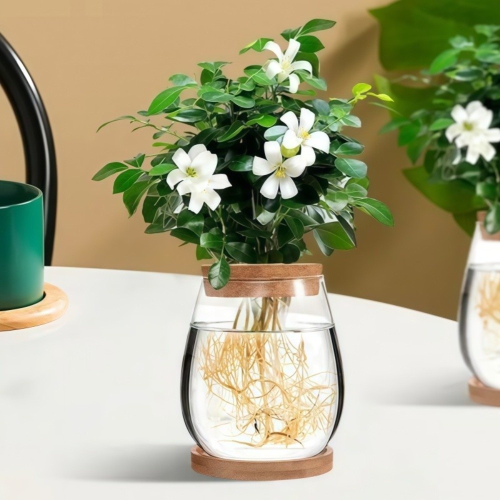 Propagation Station Vase - 투명한 수경 재배 화분과 나무 트레이,