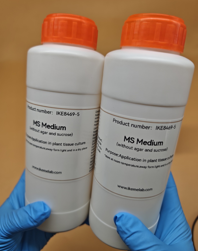 IKEME 한천 및 설탕이 없는 실험실 MS 배지, 식 - Agar Tissue Culture 리뷰 및 가격
