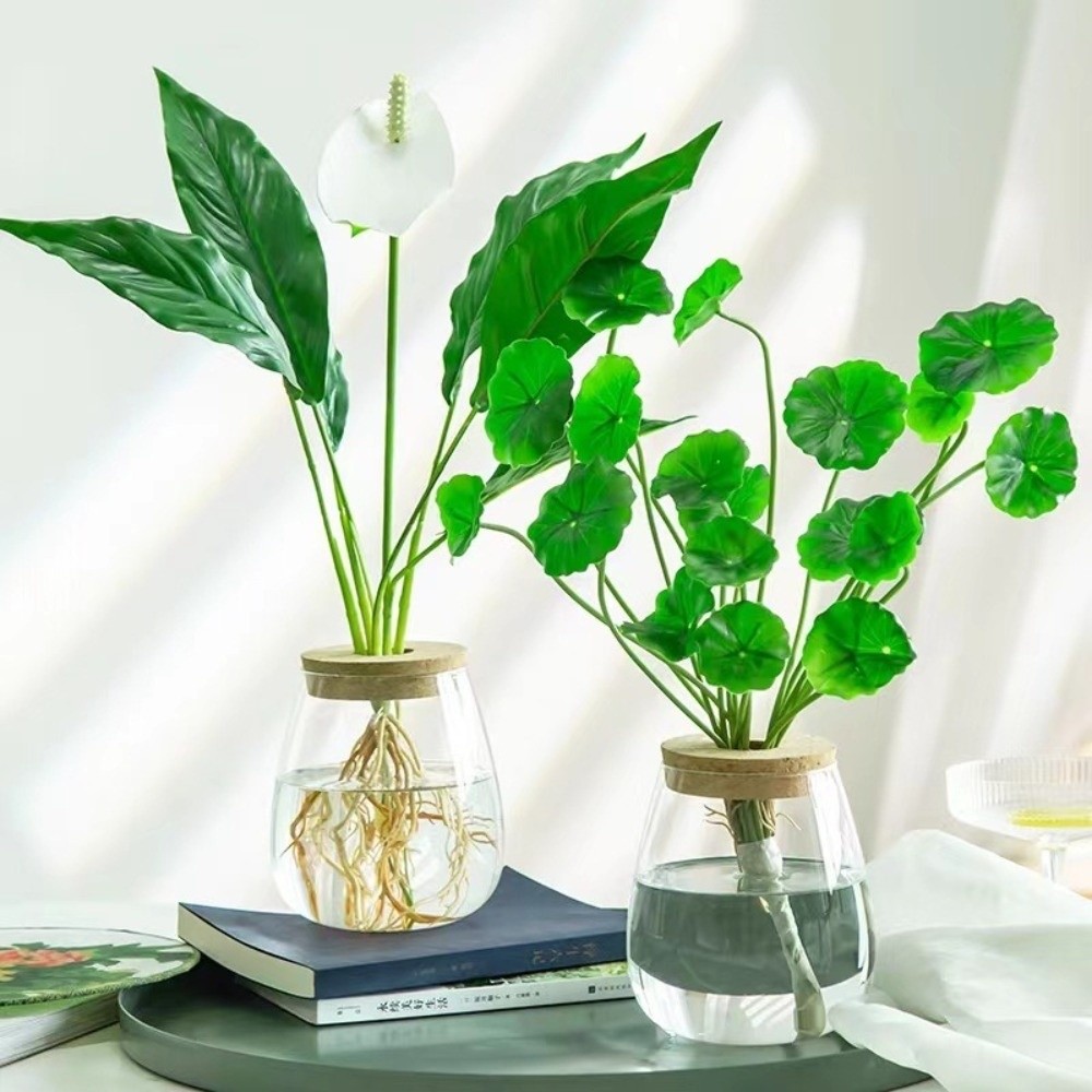 투명한 수경 재배 화분과 나무 트레이, 유리 식물 번식 - Propagation Station Vase 리뷰 및 가격