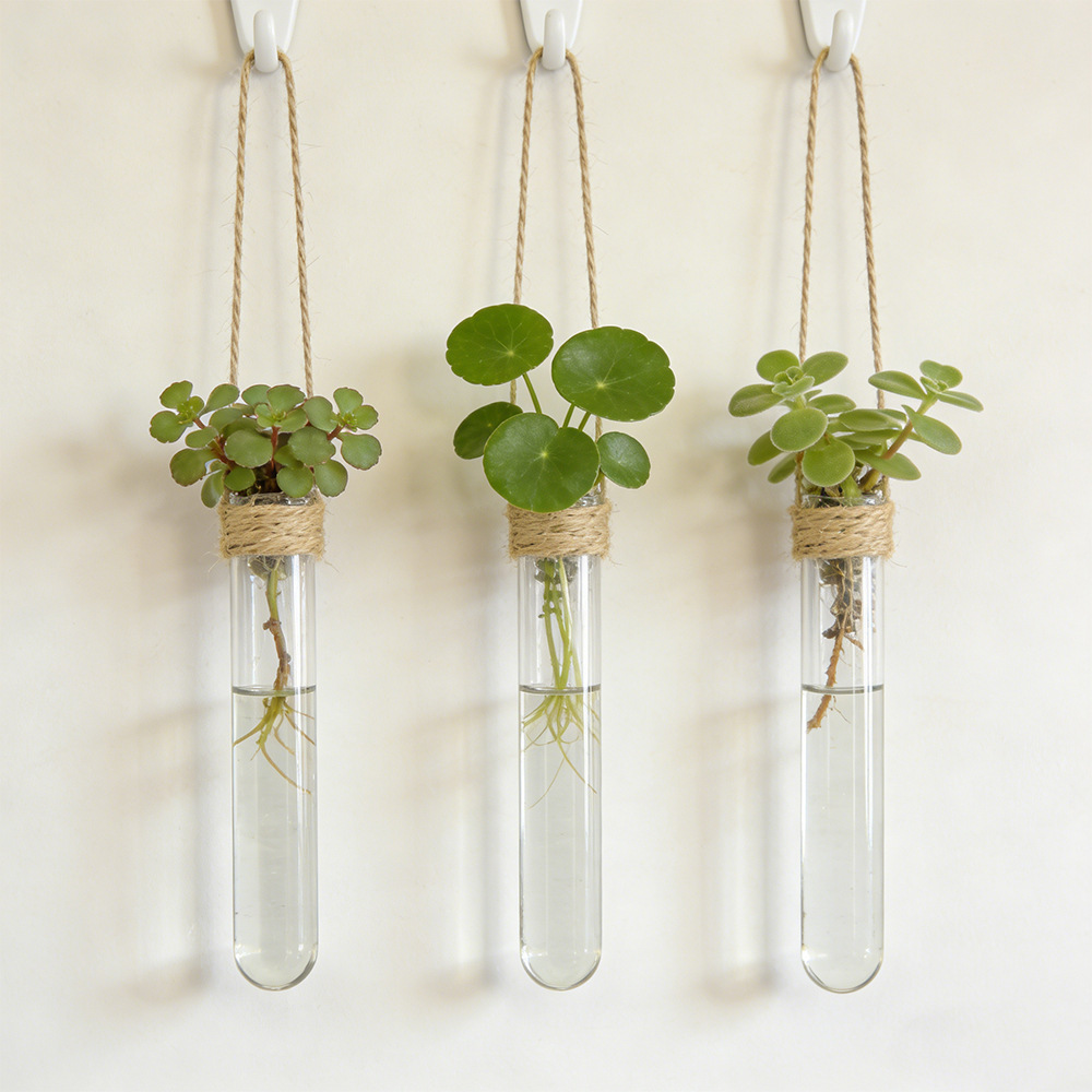 수경 재배 꽃병 벽걸이 시험관 화병 수경재배 홈 오피스 - Propagation Station Vase 리뷰 및 가격