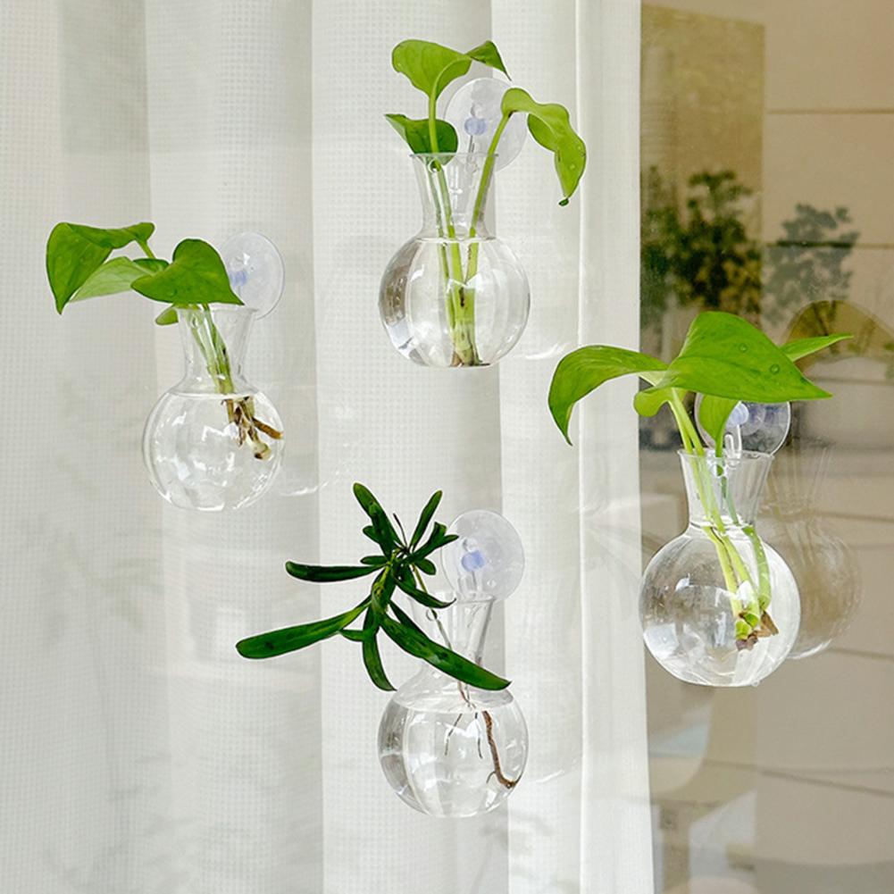 창문 화분 화병 창문 식물 홀더 1/2/3/4/6/8개 - Propagation Station Vase 리뷰 및 가격