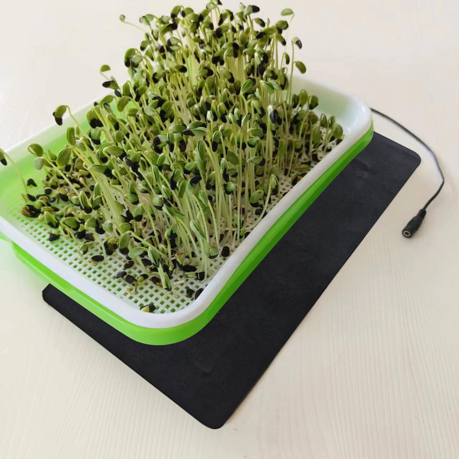 8.5W 묘목 열 매트 5V 2A 식물 종자 발아 번식 - Heat Mat Seedling 리뷰 및 가격