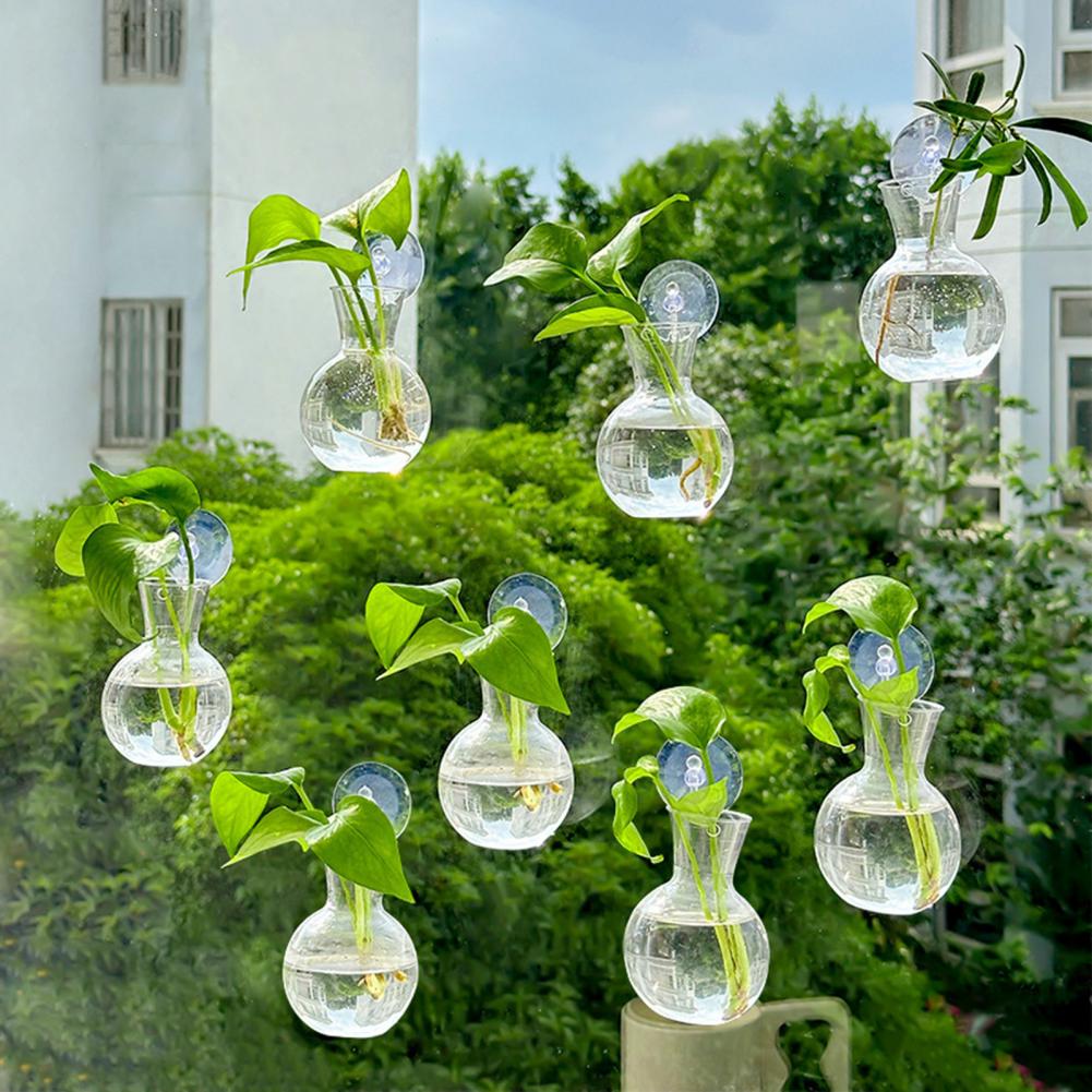 1/2/3/4/6/8개들이 식물 번식용 흡착컵이 있는  - Propagation Station Vase 리뷰 및 가격