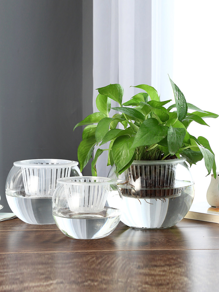 수경재배 유리 화병, 유리 그린 딜 꽃병, 가정 및 사 - Propagation Station Vase 리뷰 및 가격